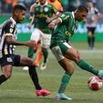 Federação define datas e horários das finais entre Palmeiras e Santos; confira (Reprodução/Jogada10)